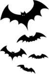 bats picture
